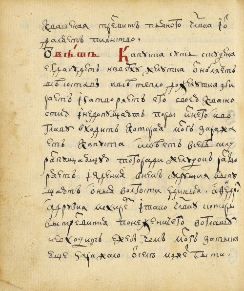 Страница 248