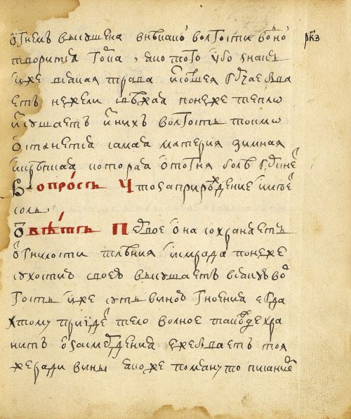 Страница 263