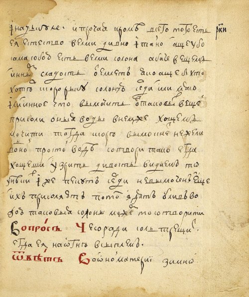 Страница 265