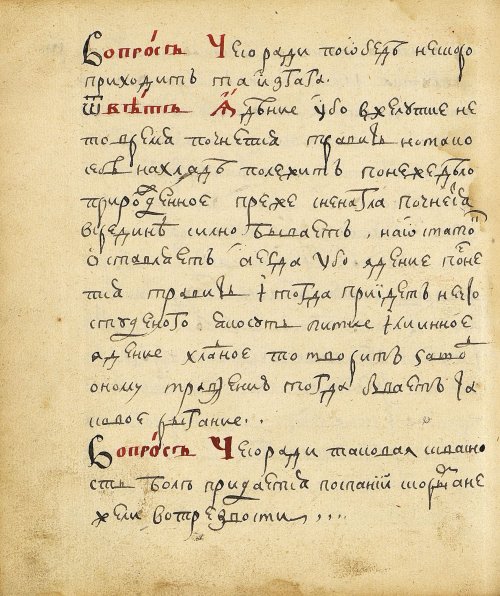 Страница 288