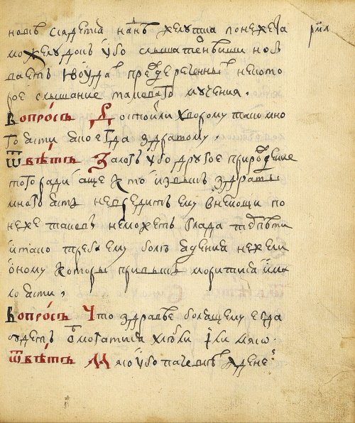 Страница 291