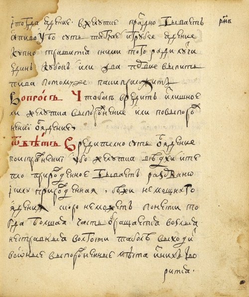 Страница 293