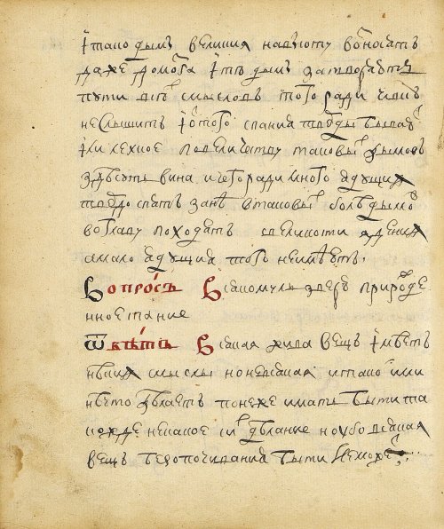 Страница 304