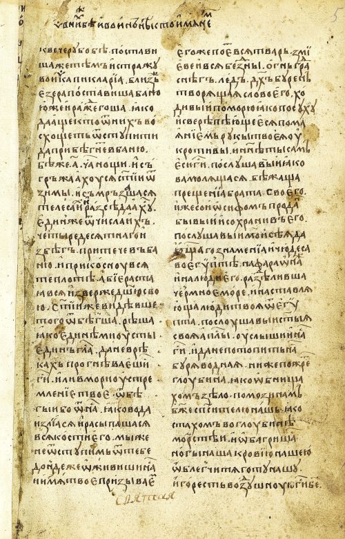 Страница 11