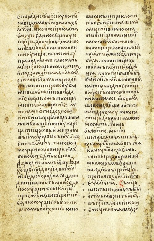 Страница 24