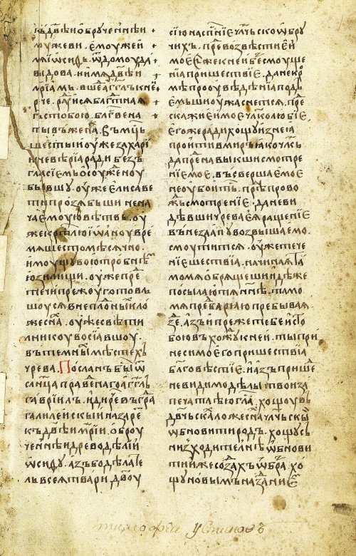 Страница 25
