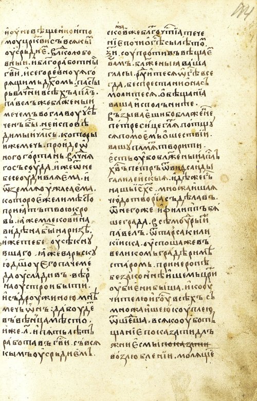 Страница 229