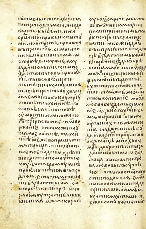 Страница 244