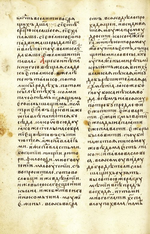 Страница 264