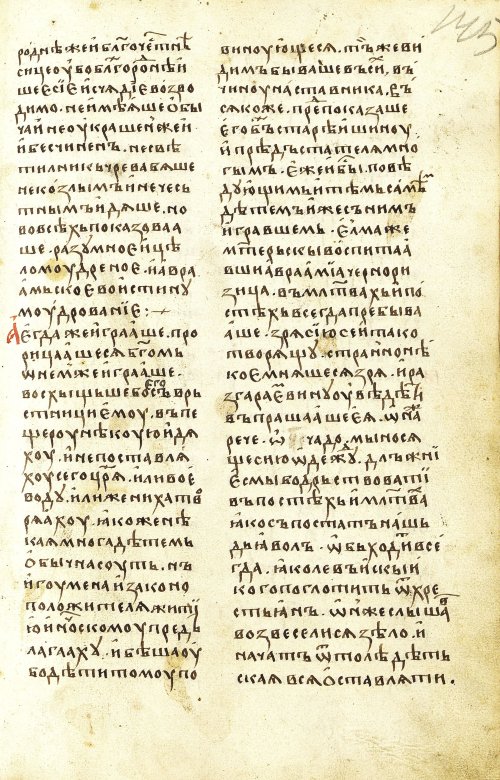 Страница 291