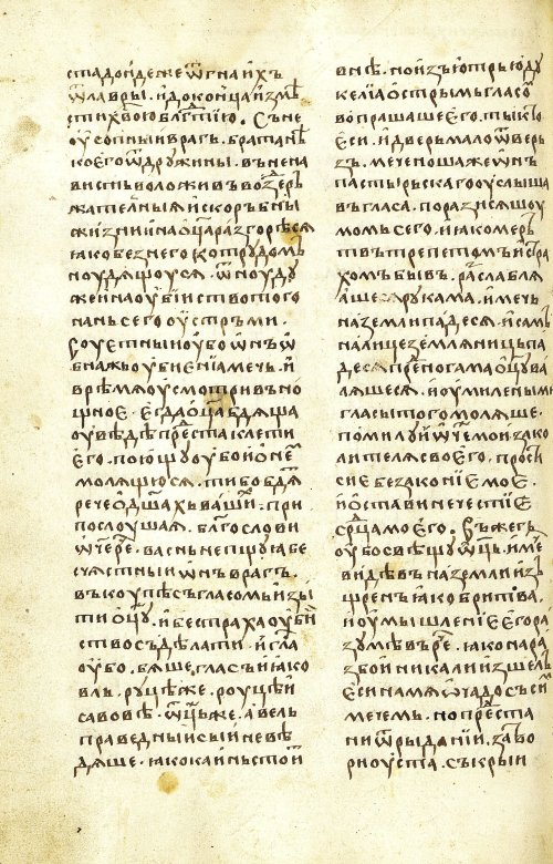 Страница 338