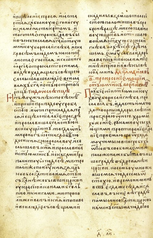 Страница 446
