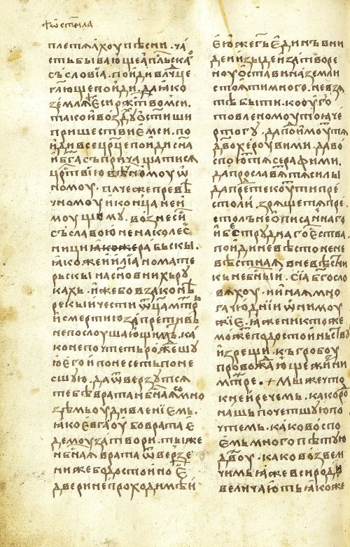 Страница 484