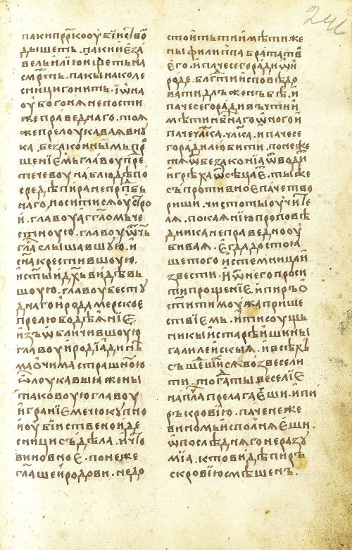 Страница 493