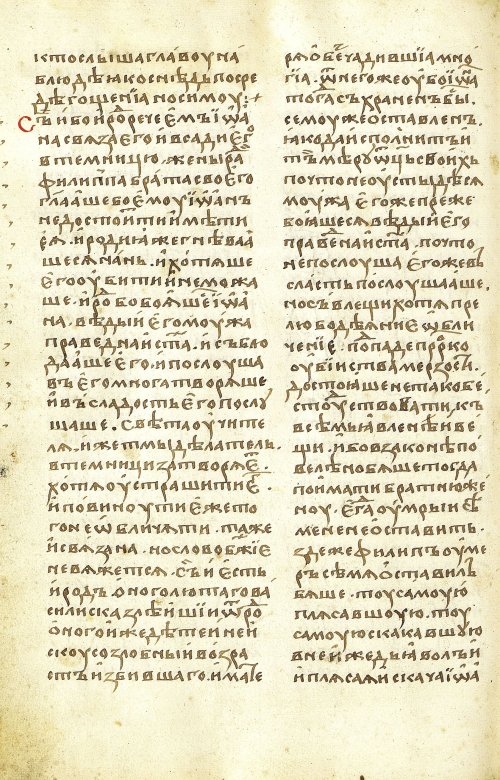 Страница 494