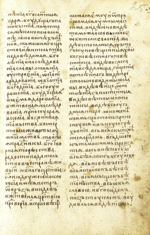 Страница 511