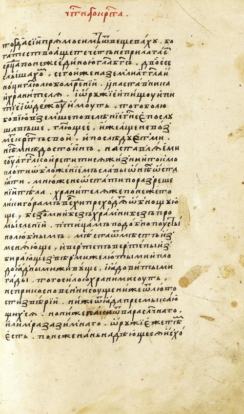 Страница 219