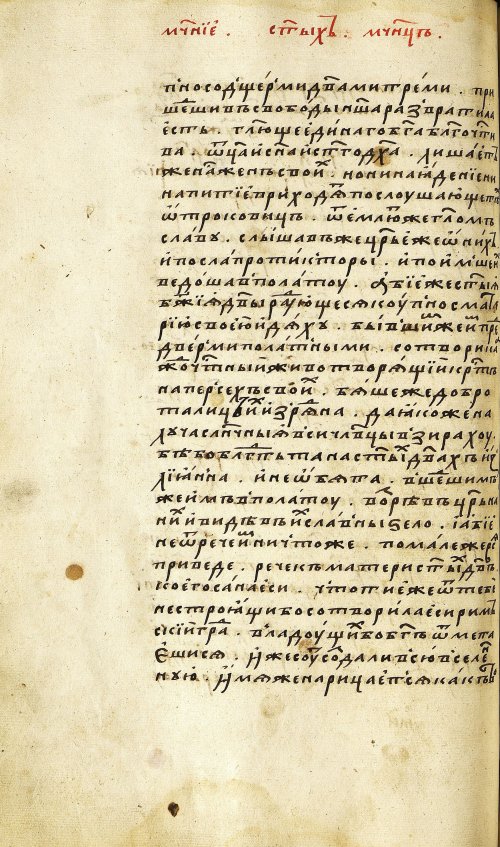 Страница 246