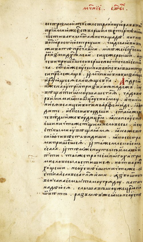 Страница 256