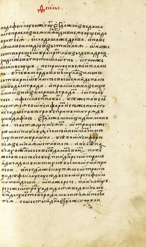 Страница 317