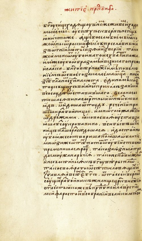 Страница 384