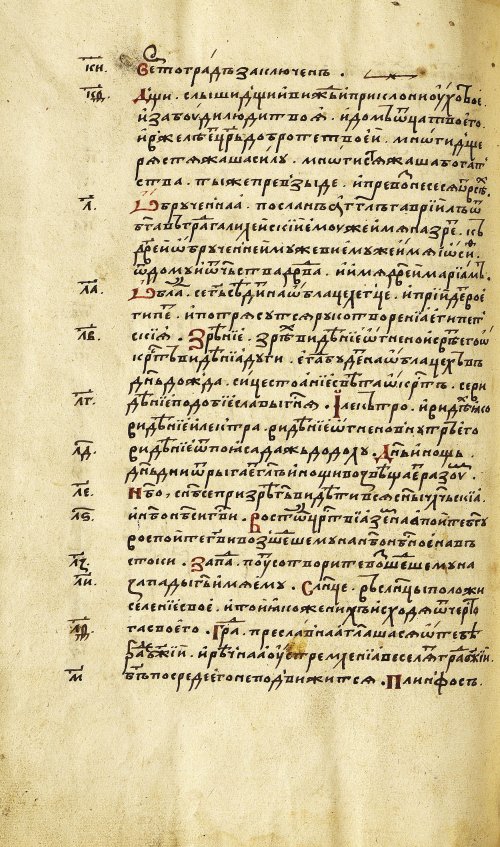 Страница 492