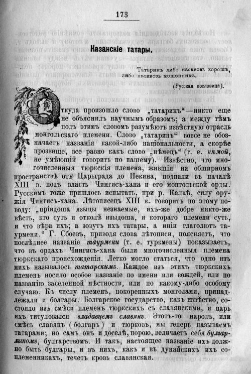 Страница 243