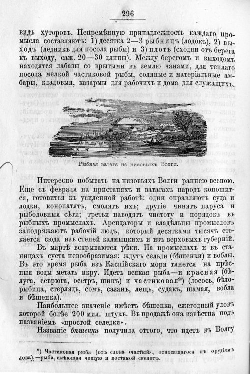 Страница 364