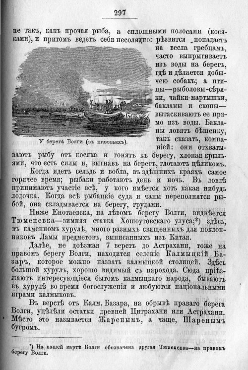 Страница 365
