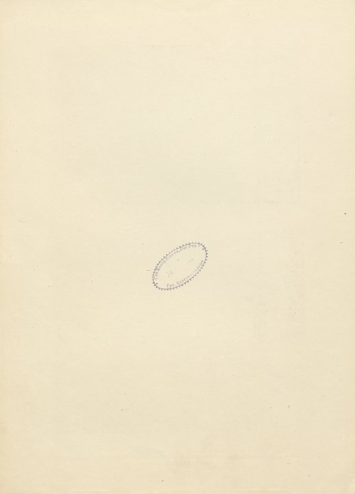 Страница 224
