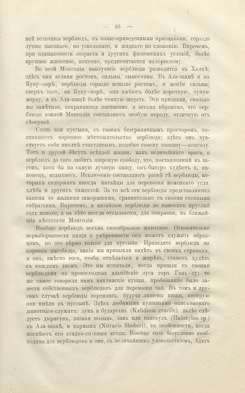 Страница 99