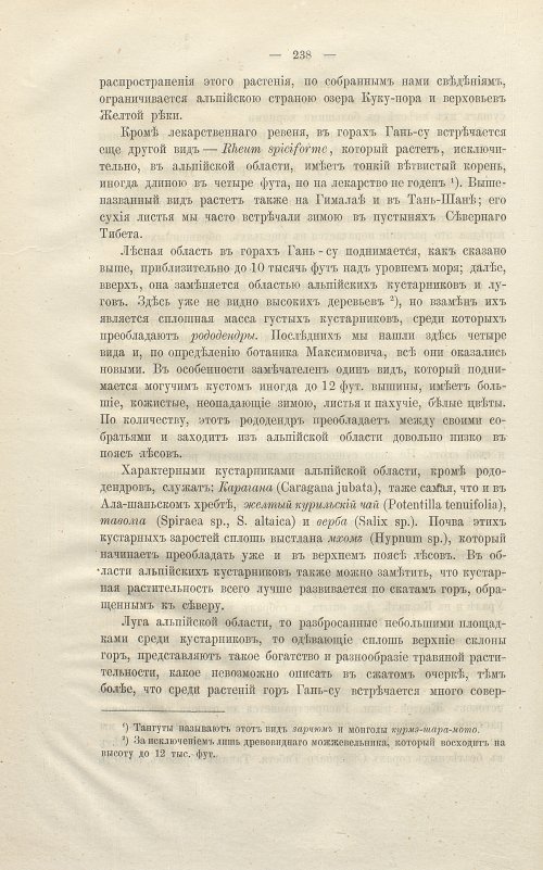 Страница 252