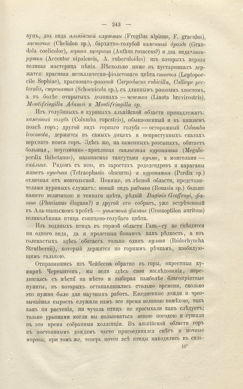 Страница 257