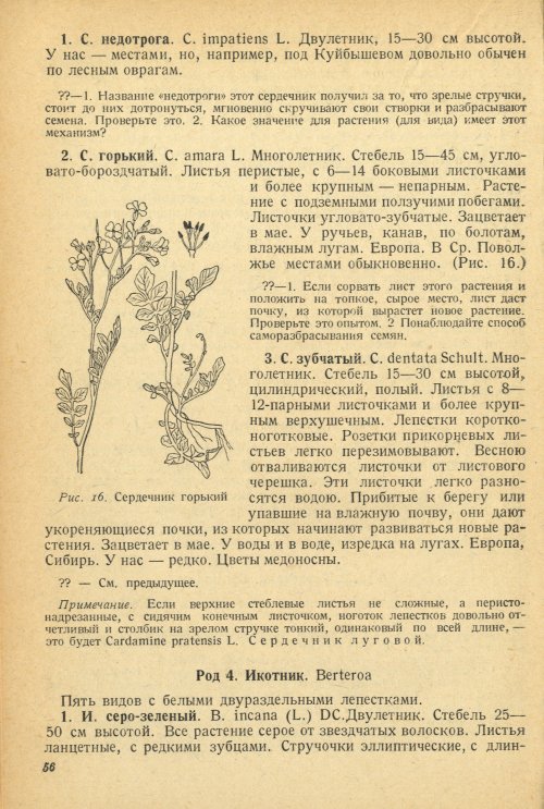 Страница 60