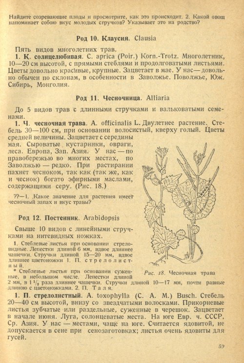 Страница 63