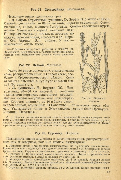 Страница 67