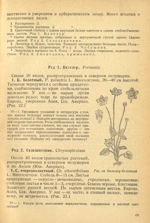 Страница 73