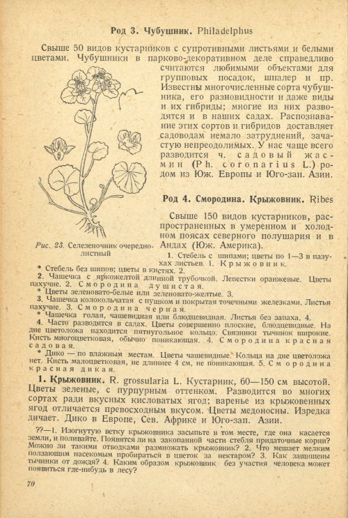 Страница 74