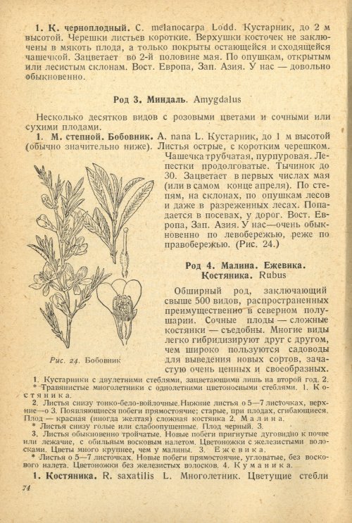 Страница 78