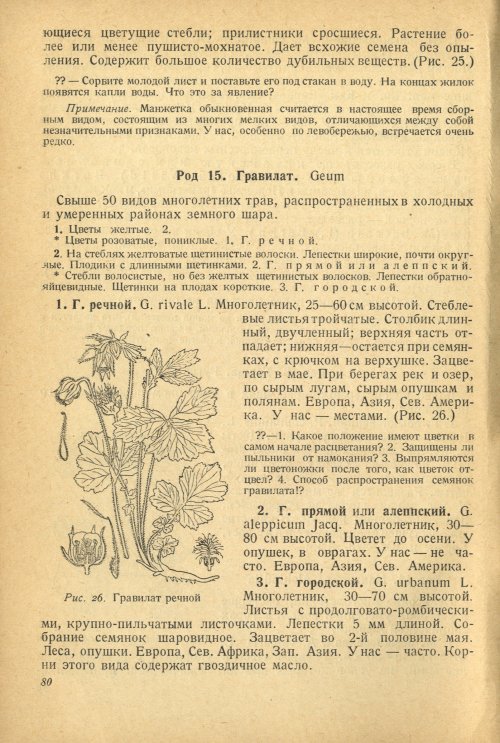 Страница 84