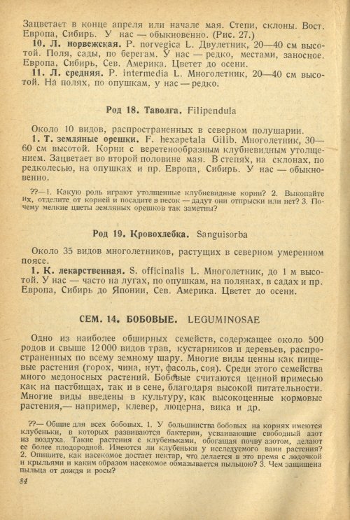 Страница 88