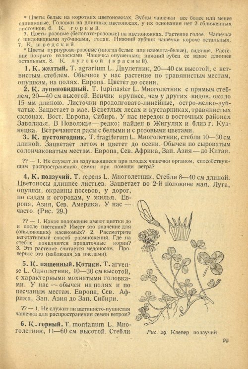 Страница 99