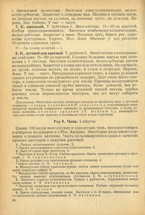 Страница 100