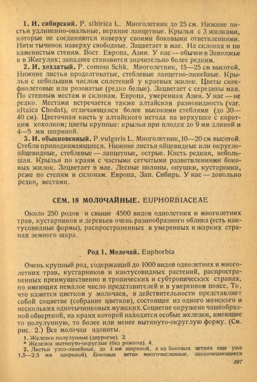 Страница 111