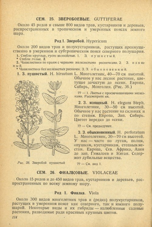 Страница 118