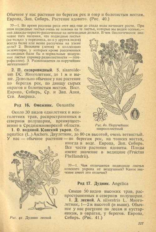 Страница 131