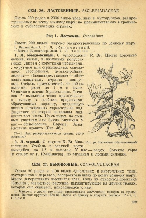 Страница 141