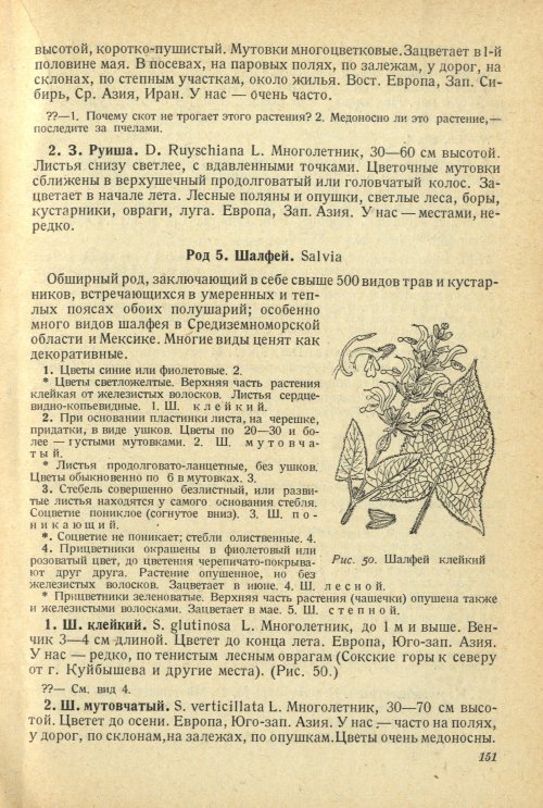 Страница 155