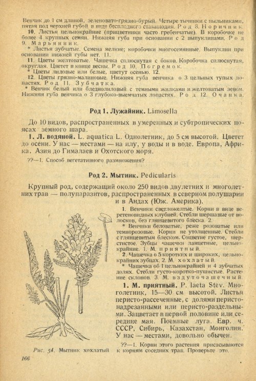 Страница 170