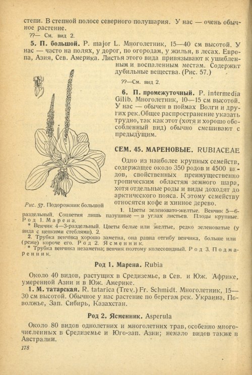 Страница 182
